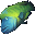 Veydal Wrasse