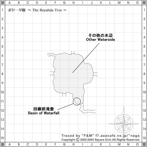 ボヤーダ樹 1